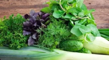 استقرار أسعار الخضروات والفاكهة في سوق العبور يحد من تقلبات السوق ويؤثر على استقرار تكلفة المعيشة